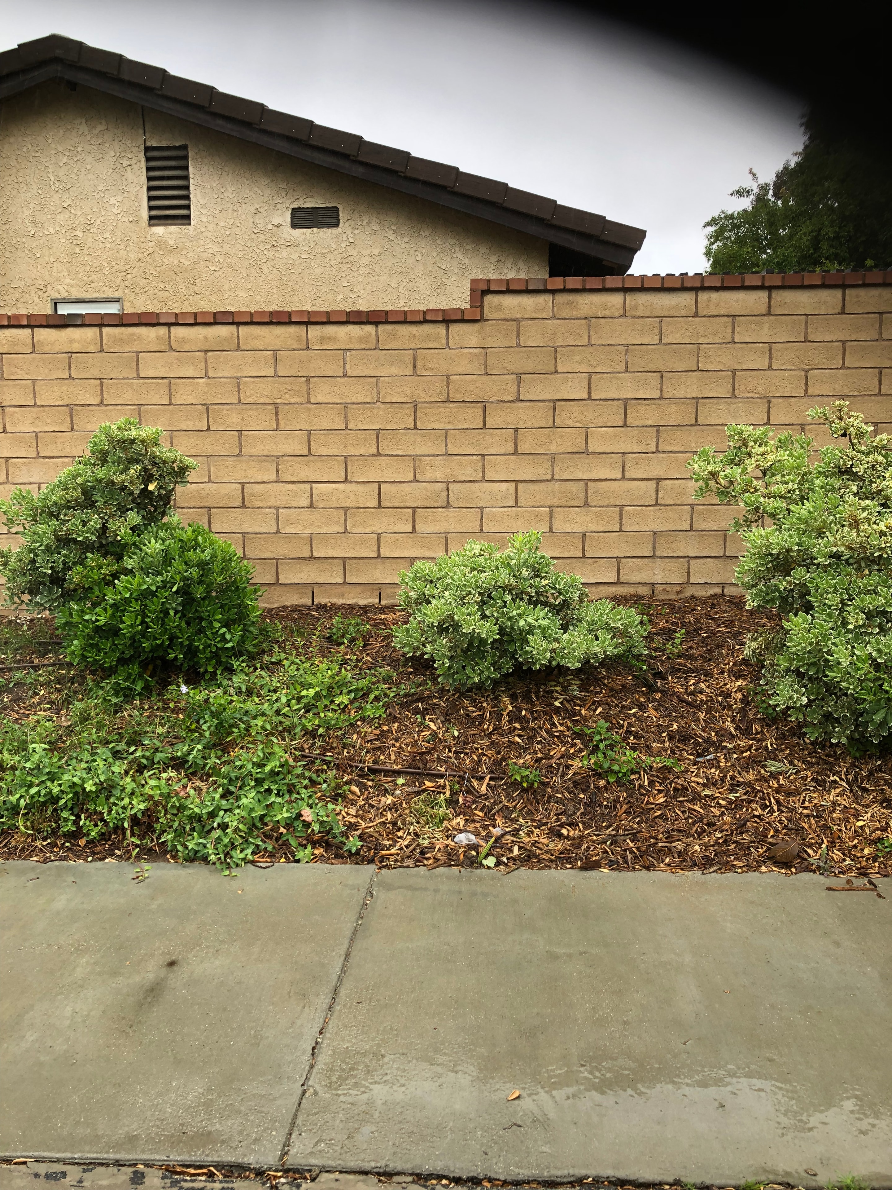 Doe skin tan slump stone CMU masonry wall with brick cap — Santa Clarita, CA